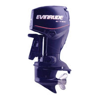 Evinrude 2004 75 E-TEC Manual