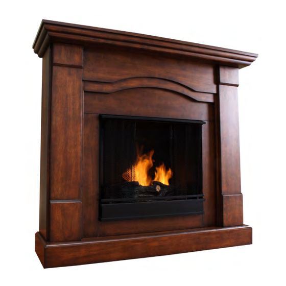 Real Flame G8700 User Manual