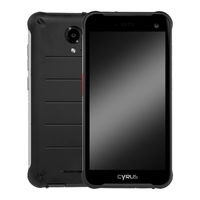 Cyrus CS24 WORK User Manual