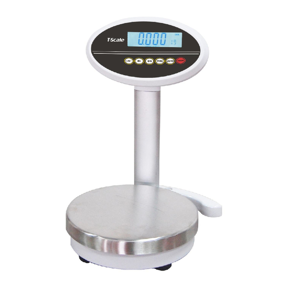 T Scale ROW Precision Balance Series Technical Manual