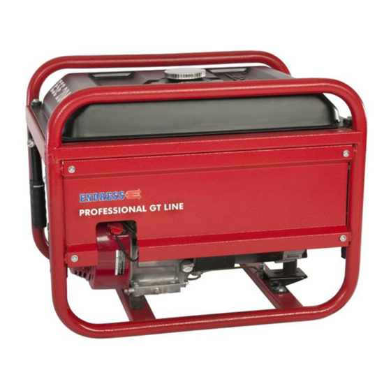 Endress ESE 206 HS-GT Operating Instructions Manual