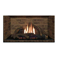 Astria Fireplaces Gemini-C Series Installation And Operation Instructions Manual