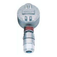 RKI Instruments 65-2451RK-04 Operator's Manual
