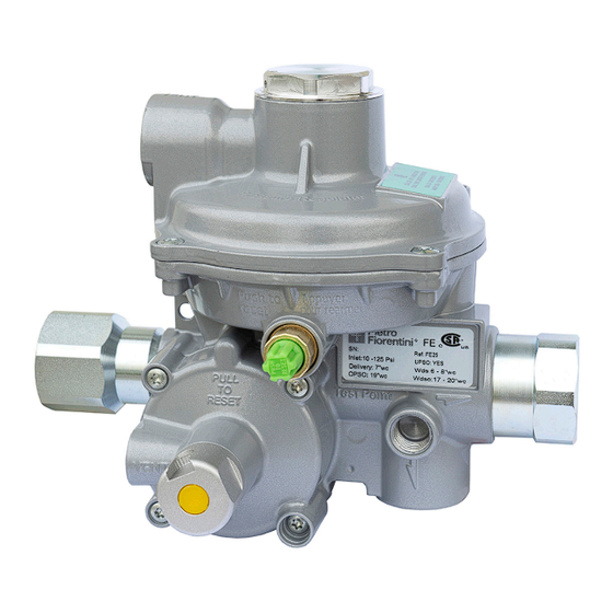 PIETRO FIORENTINI FE50 Use & Maintenance