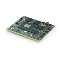 ADLINK Technology MXM-P1000 User Manual