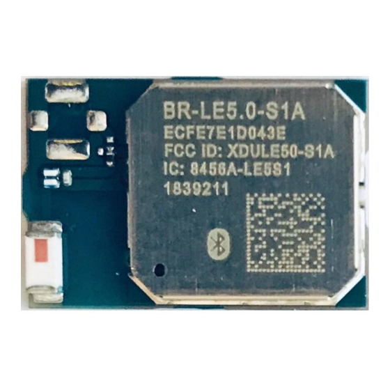 Blue Radio nBlue BT5.0 Manual