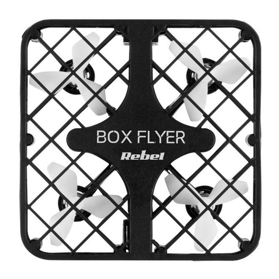 Rebel BOX FLYER Manuals