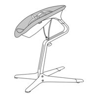 Evomove Nomi Baby User Manual