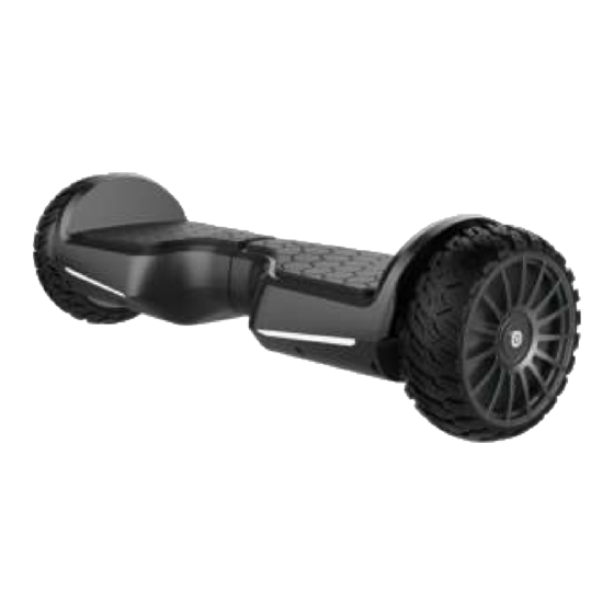 Bluewheel HX380 Manual