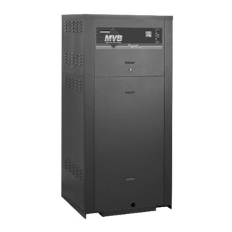 Raypak MVB 5042004 Installation & Operating Instructions Manual