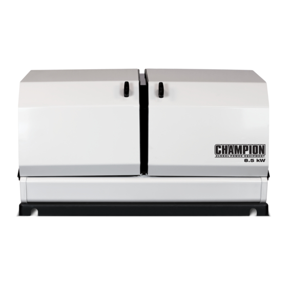 Champion Global Power Equipment 100199 Operator's Manual