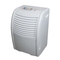 Dehumidifier Haier HD456E User Manual