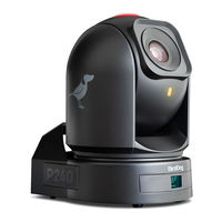 birddog BDP240W User Manual