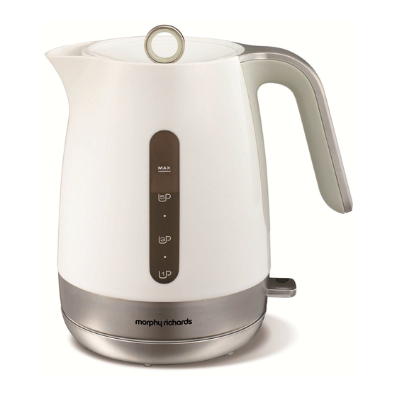 Morphy Richards Chroma Manual