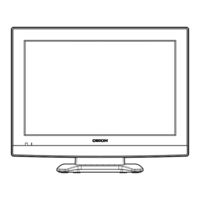 Orion TV19PL110D A Instruction Manual