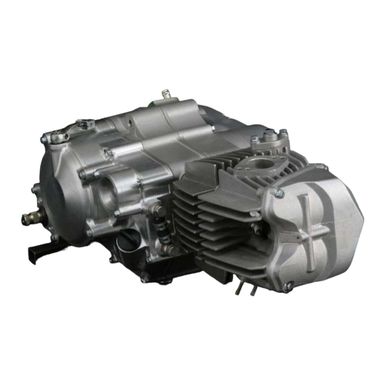 Daytona Anima 190F Owner's Manual