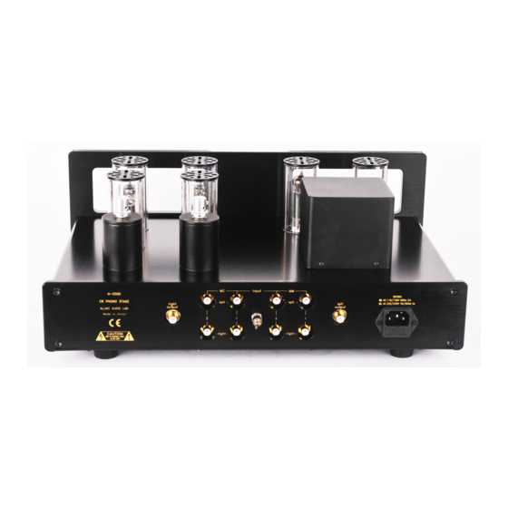 ALLNIC AUDIO H-5500 Owner's Manual