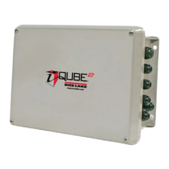 Rice Lake iQUBE2-AA Installation Manual
