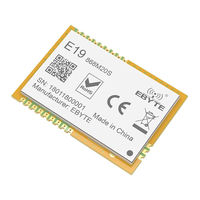 Ebyte E19-915M30S User Manual