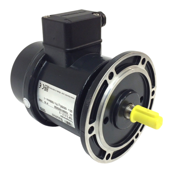 Baumer HUBNER TDPZ 0,2 Series Installation And Operating Instructions Manual