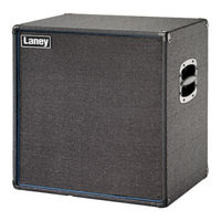 Laney R115 User Manual