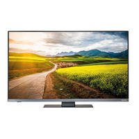 Ten-Haaft Oyster TV 21,5