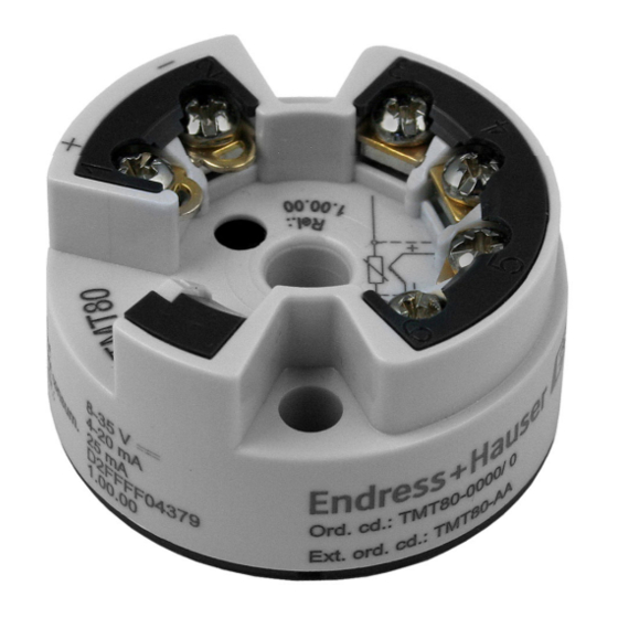 Endress+Hauser iTEMP TMT80 Manual