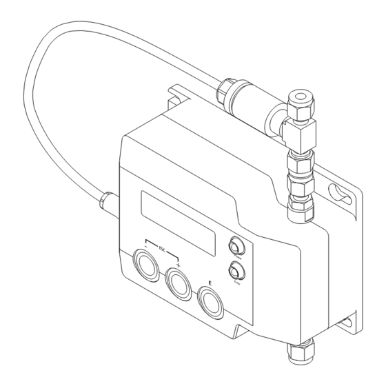 Endress+Hauser Nanomass Gas Density Manuals