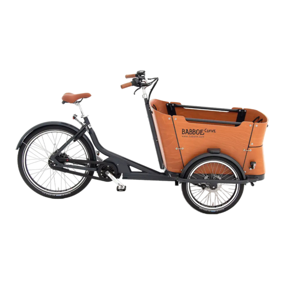 Babboe Curve Mountain User Manual