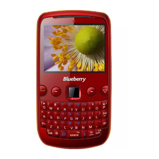 Spice Blueberry User Manual