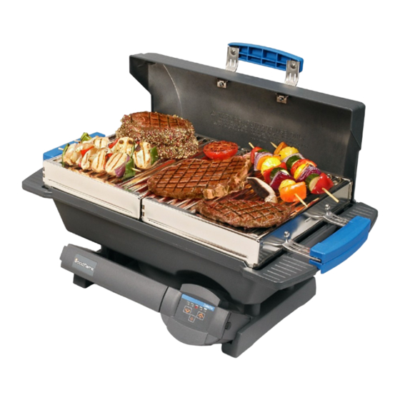 Woodflame Delecto Owner's Manual