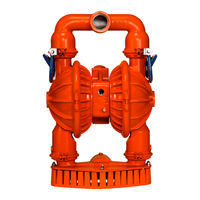 Wilden PS 8 Stallion Metal Manual