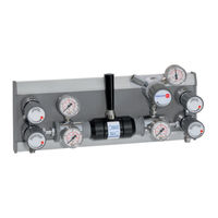 Spectron BM56-2U User Manual