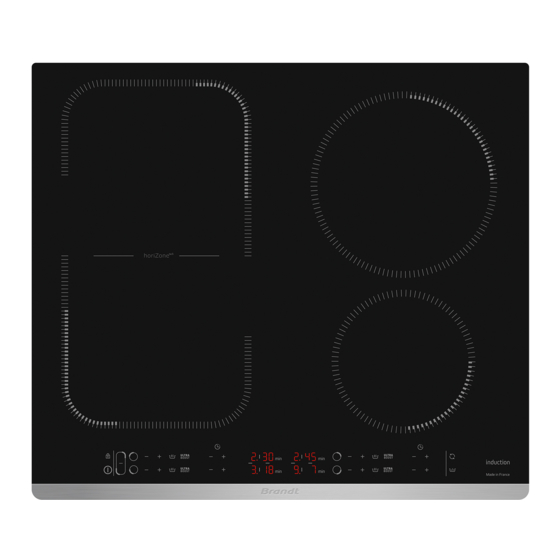 Brandt BPI164HUX Instruction Manual