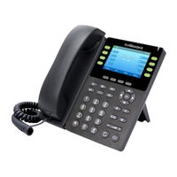 Flying Voice FIP11C User Manual