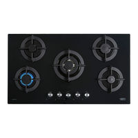 Defy DHG131 User Manual