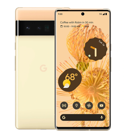 Google Pixel 6 Pro Repair Manual