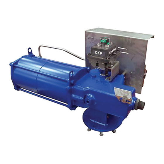BIFFI RPS Series Installation, Operation And Maintenance Manual
