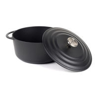 Villeroy & Boch Vivo Cast iron casserole Use And Care Instructions Manual