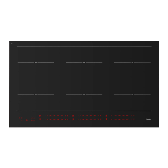 Pelgrim IK8093R Series Instructions For Use Manual