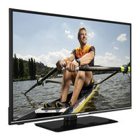 Gogen TVF43R552STWEB Instruction Manual