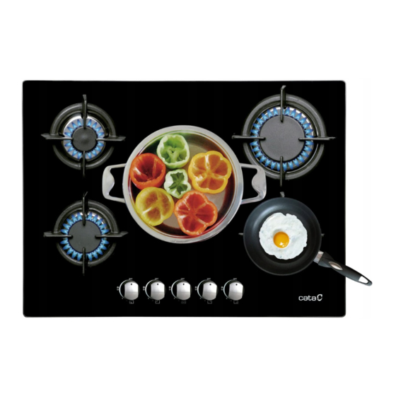 Cata L-7005 CI Installation, Use And Maintenance Instructions