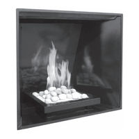 Town & Country Fireplaces TC42.NG04D Installation Instructions Manual