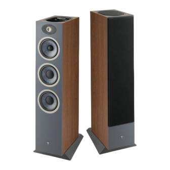Focal THEVA  3-D Quick Start Manual
