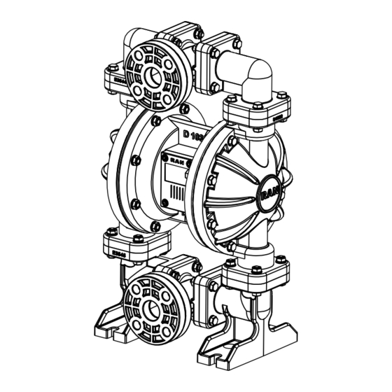 Ranpump D25-PX Manuals