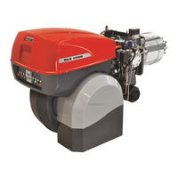 Riello 20174937 Installation, Use And Maintenance Instructions