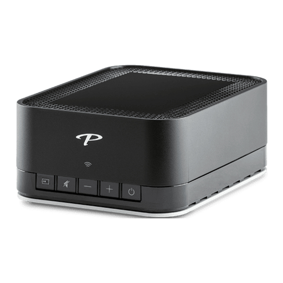 Paradigm PW AMP Owner's Manual