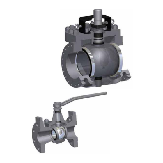 Flowserve McCANNA User Instructions