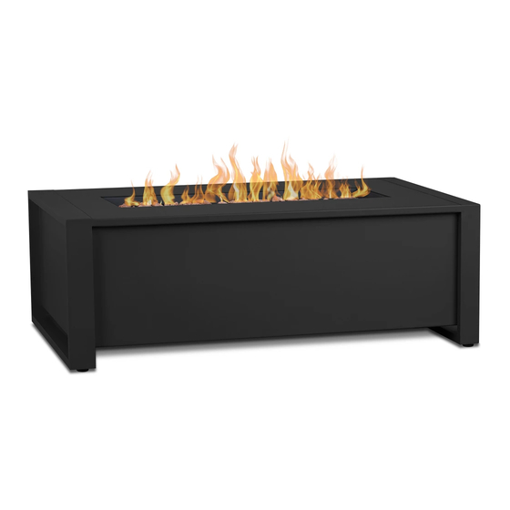 RealFlame 6330LP Owner's Manual
