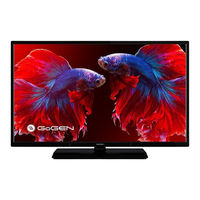 G2 GoGEN TVF32P559T Instruction Manual